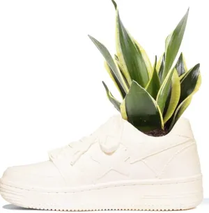 Bodega Rose Bape STA Planter Sculpture Art Object by Bape- A Bathing Ape