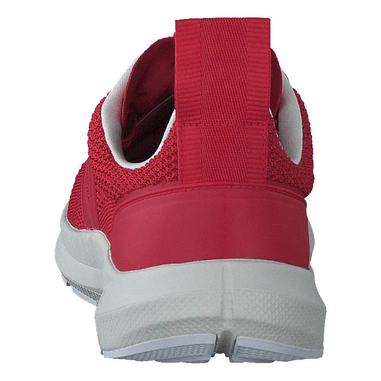 Performance Runner V-knit Rick Carnelian